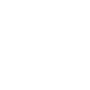 SimPole logo